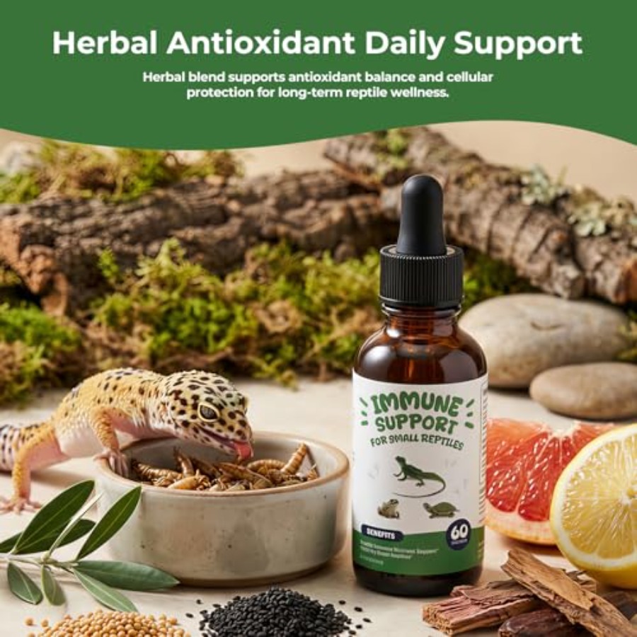 【Spot goods】Herbal Reptile Sup - Herbal Wellness Liquid avis et prix