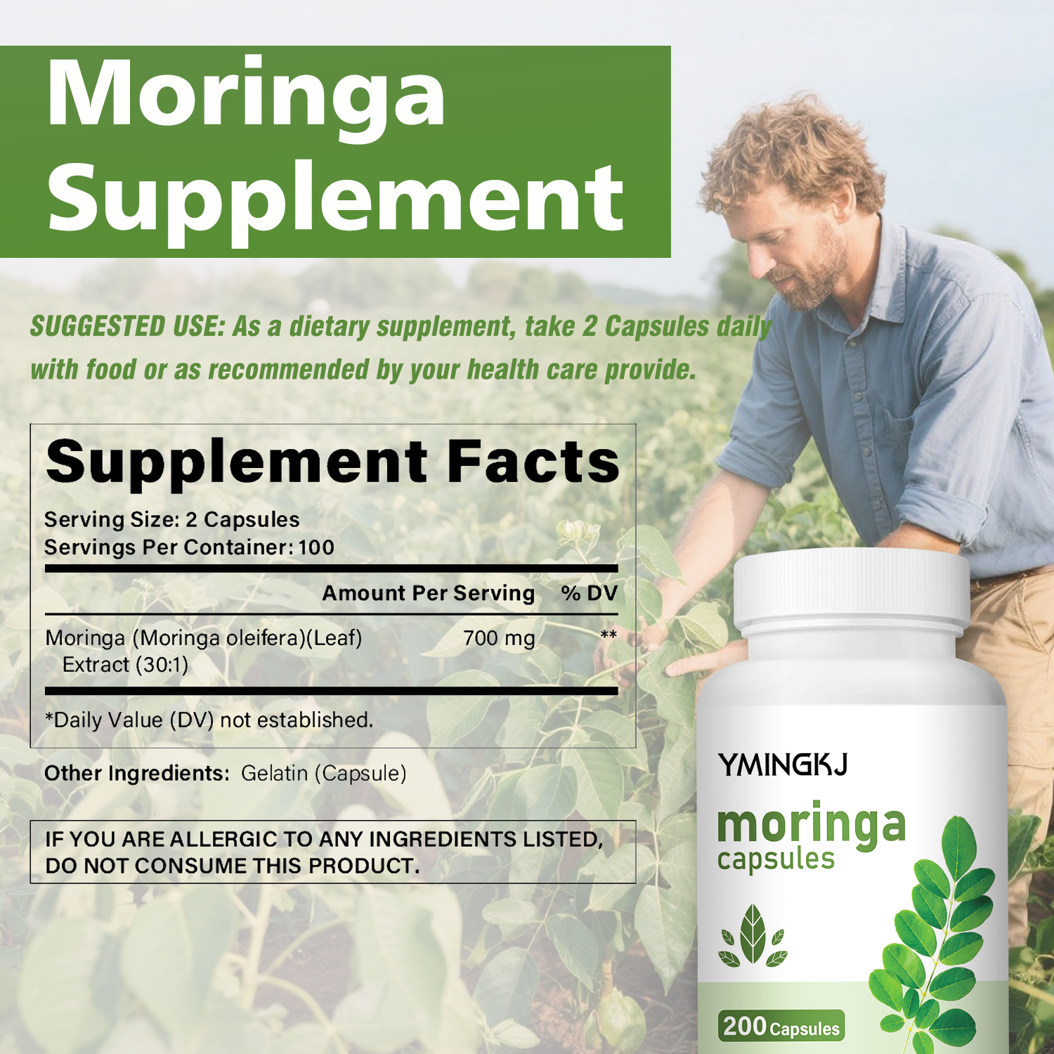 Organic Moringa Oleifera Leaf  - Moringa Leaf Powder avis et prix
