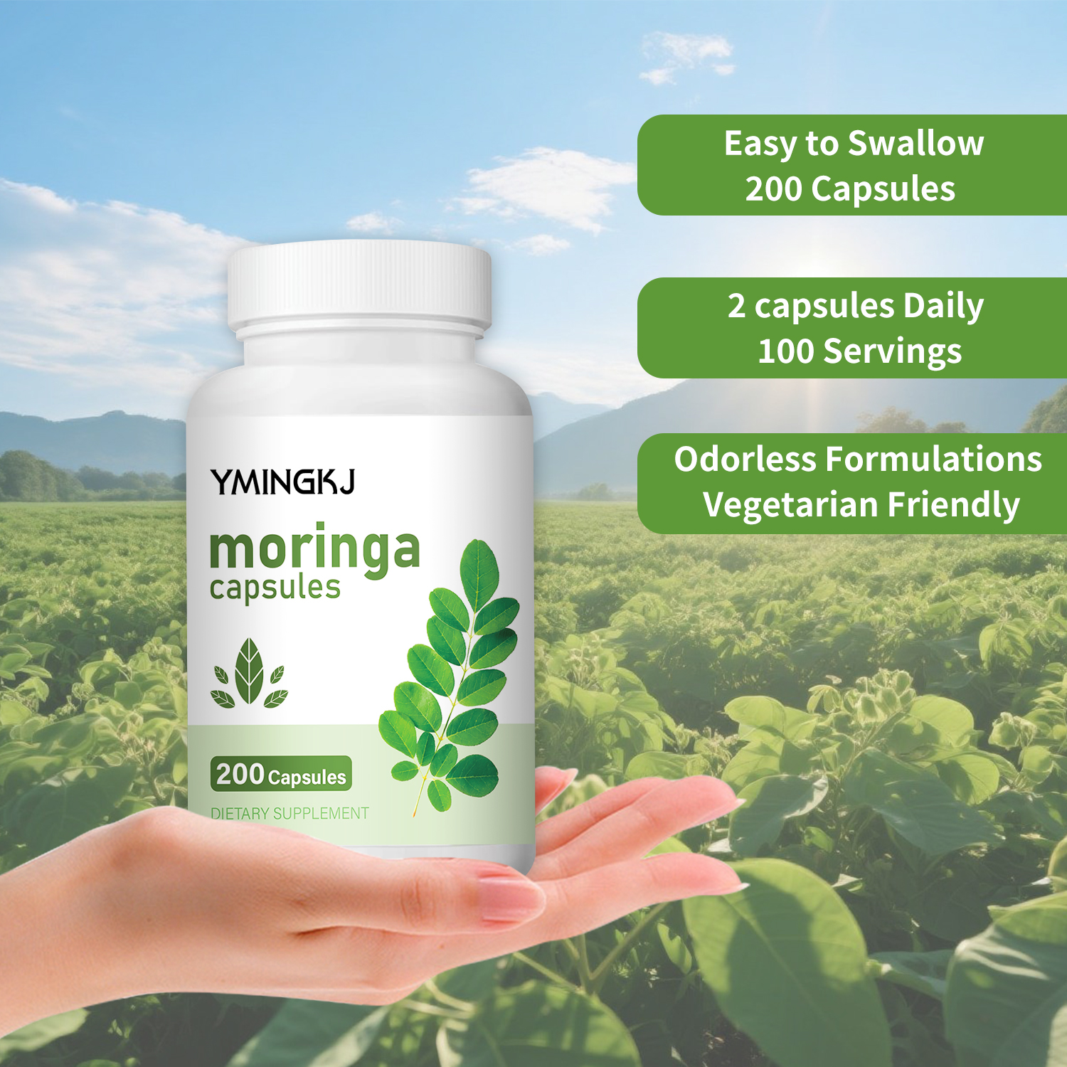 Organic Moringa Oleifera Leaf  - Moringa Leaf Powder avis et prix