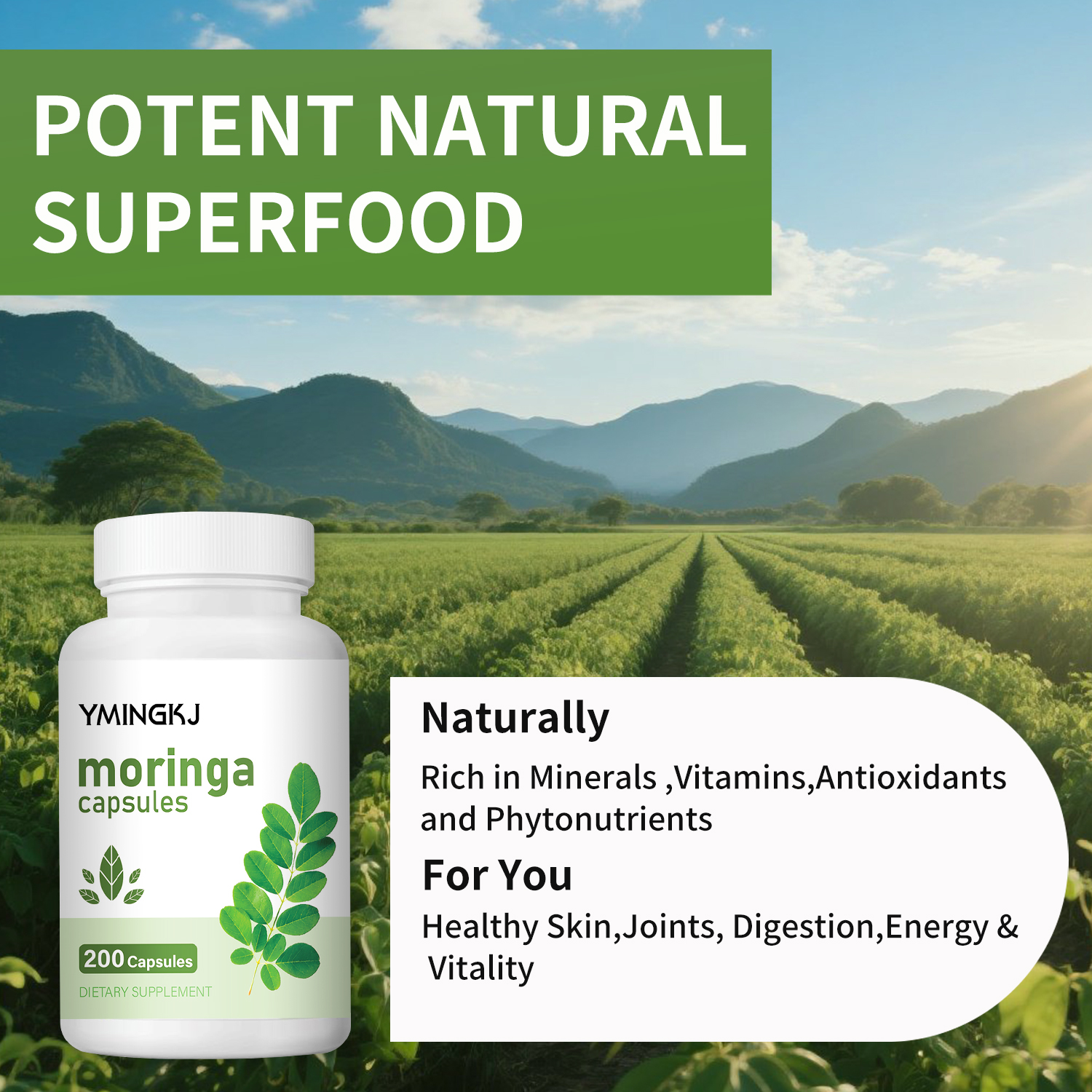 Organic Moringa Oleifera Leaf  - Moringa Leaf Powder avis et prix