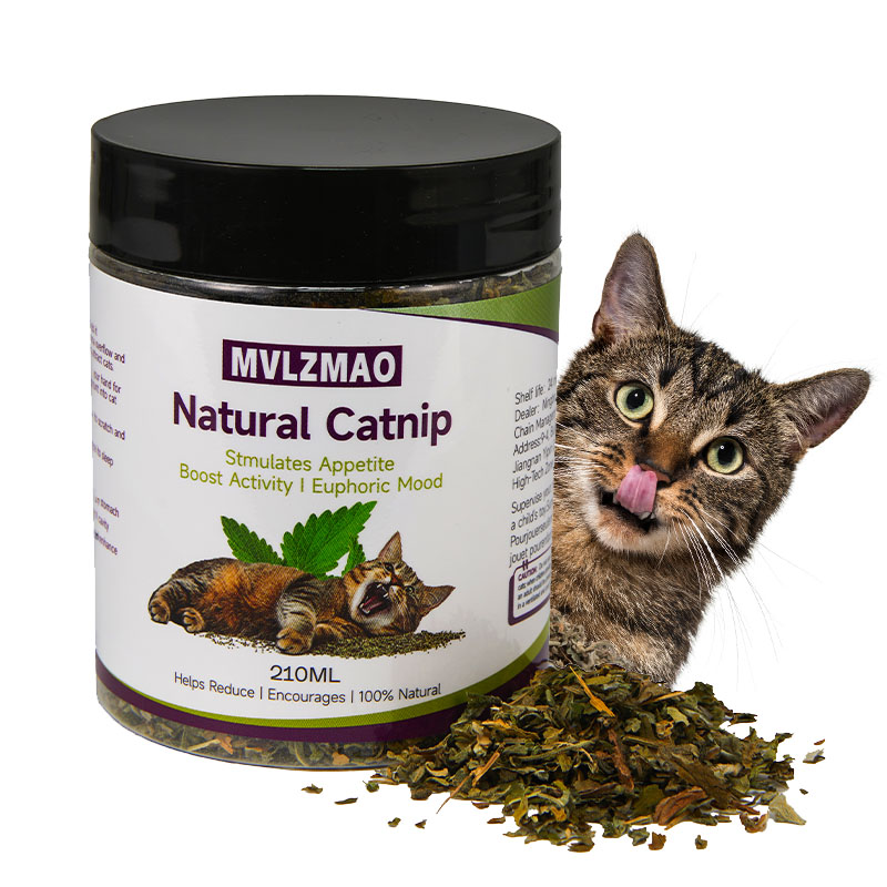 Cat Toys - Silvervine Catnip f - Herbal Wellness Supplement avis et prix
