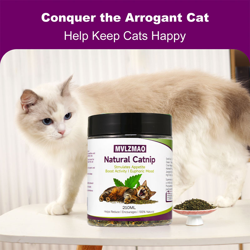 Cat Toys - Silvervine Catnip f - Herbal Wellness Supplement avis et prix