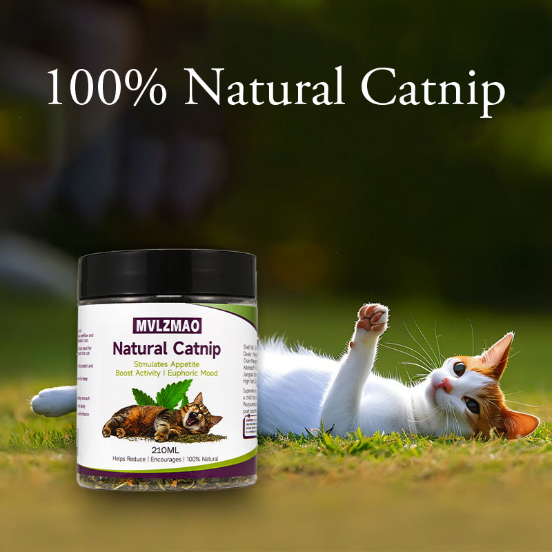 Cat Toys - Silvervine Catnip f - Herbal Wellness Supplement avis et prix