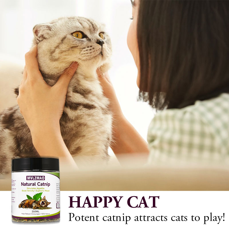 Cat Toys - Silvervine Catnip f - Herbal Wellness Supplement avis et prix